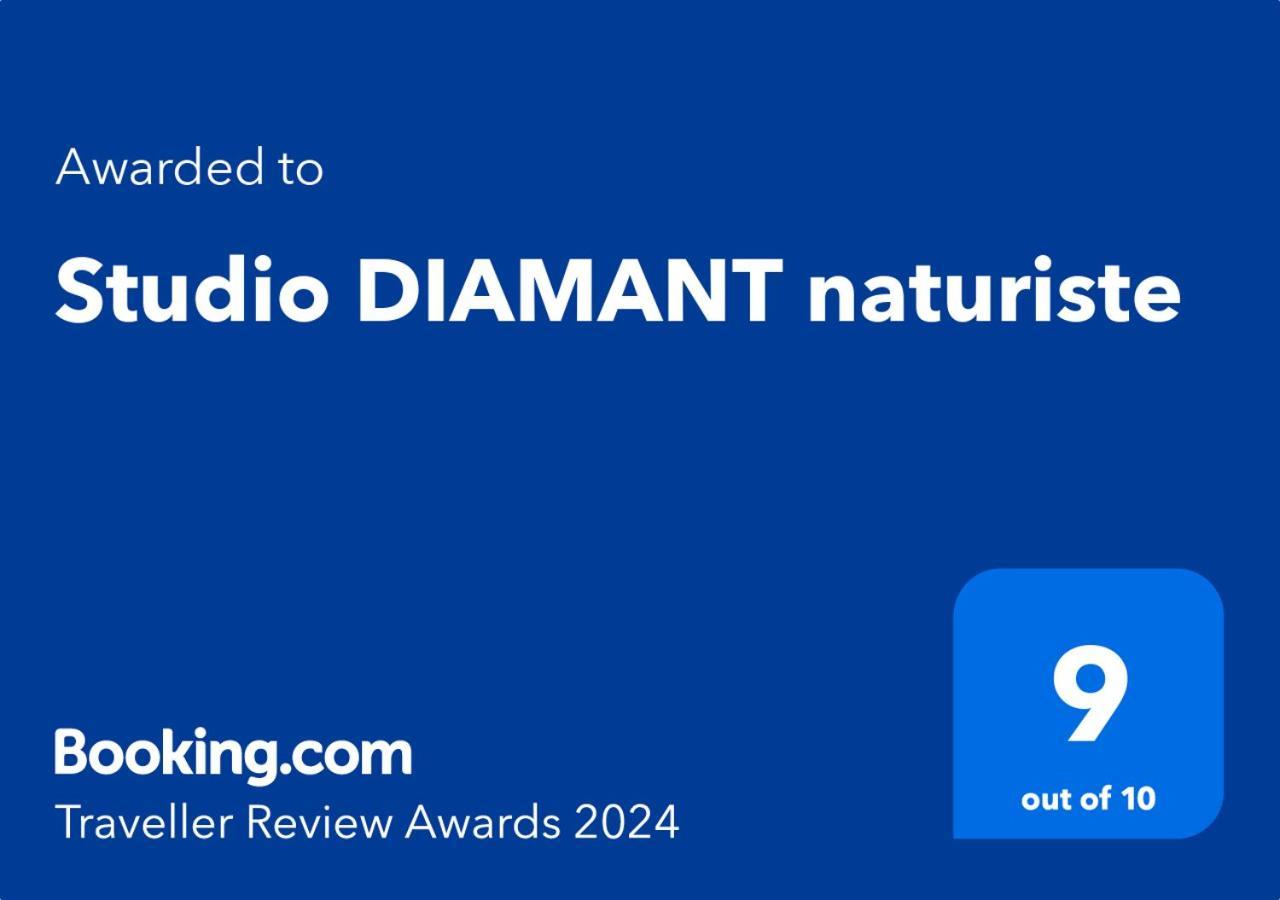 Studio Diamant Naturiste Agde Eksteriør bilde